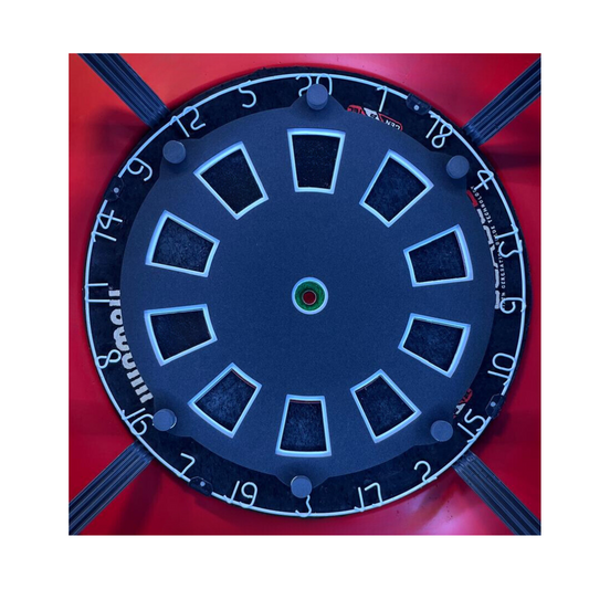 Target Foam "Big Single Felder" Zieltrainer Dart Training Abdeckung Schaumstoff Präzisionstraining Pad