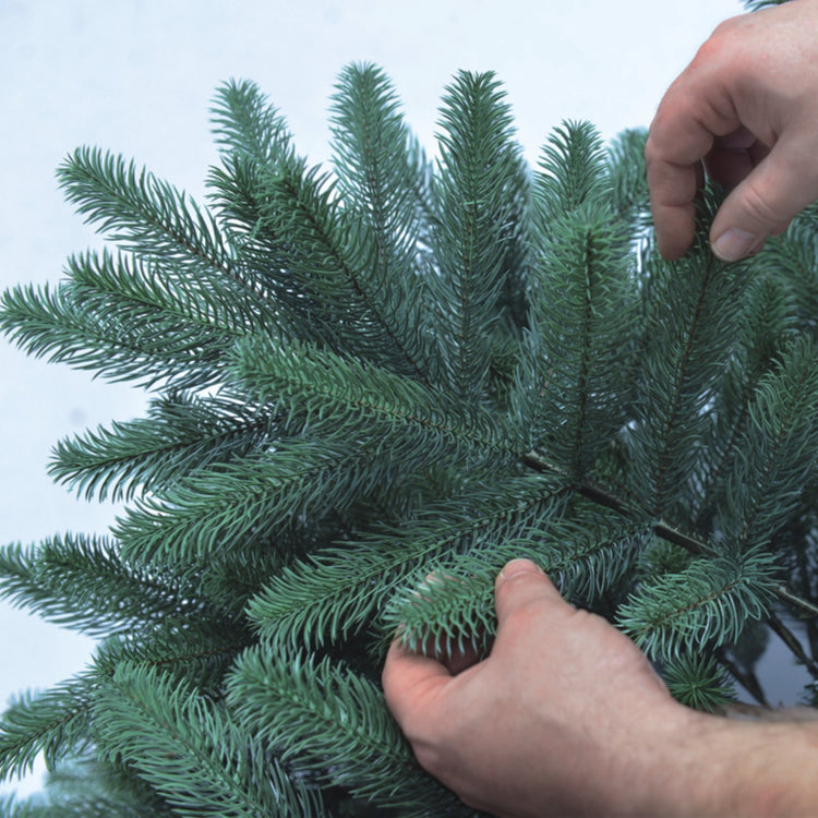 SCHAUMEX Künstlicher Weihnachtsbaum mit LED Beleuchtung aus Premium Spritzguss - Naturgetreue Nordmanntanne mit integrierter Lichterkette - Höhe: 240cm ( PE-BM240 )