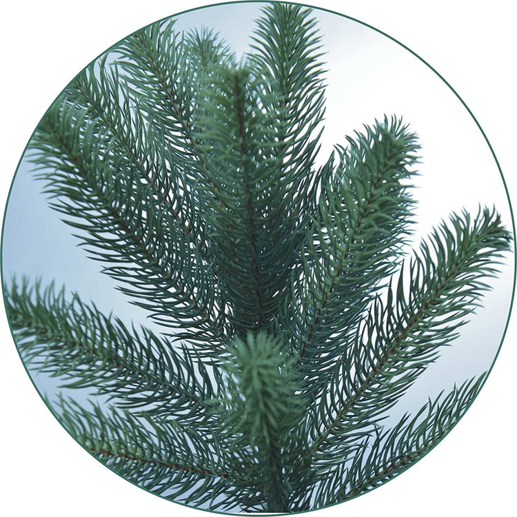 SCHAUMEX Künstlicher Weihnachtsbaum - Höhe: 85cm ohne LED Beleuchtung aus Premium Spritzguss  ( PE-BO85 )